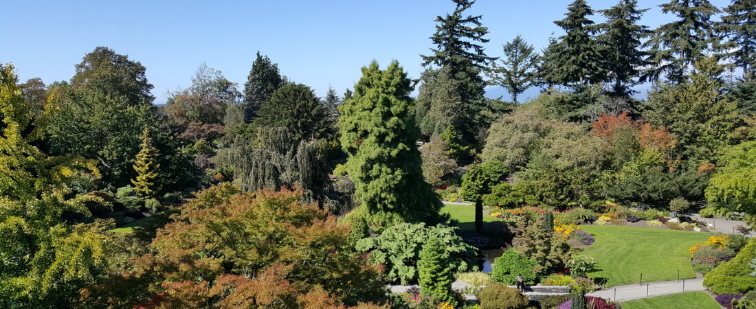 A Romantic 3-Day Itinerary for Couples Visiting Vancouver for the First Time