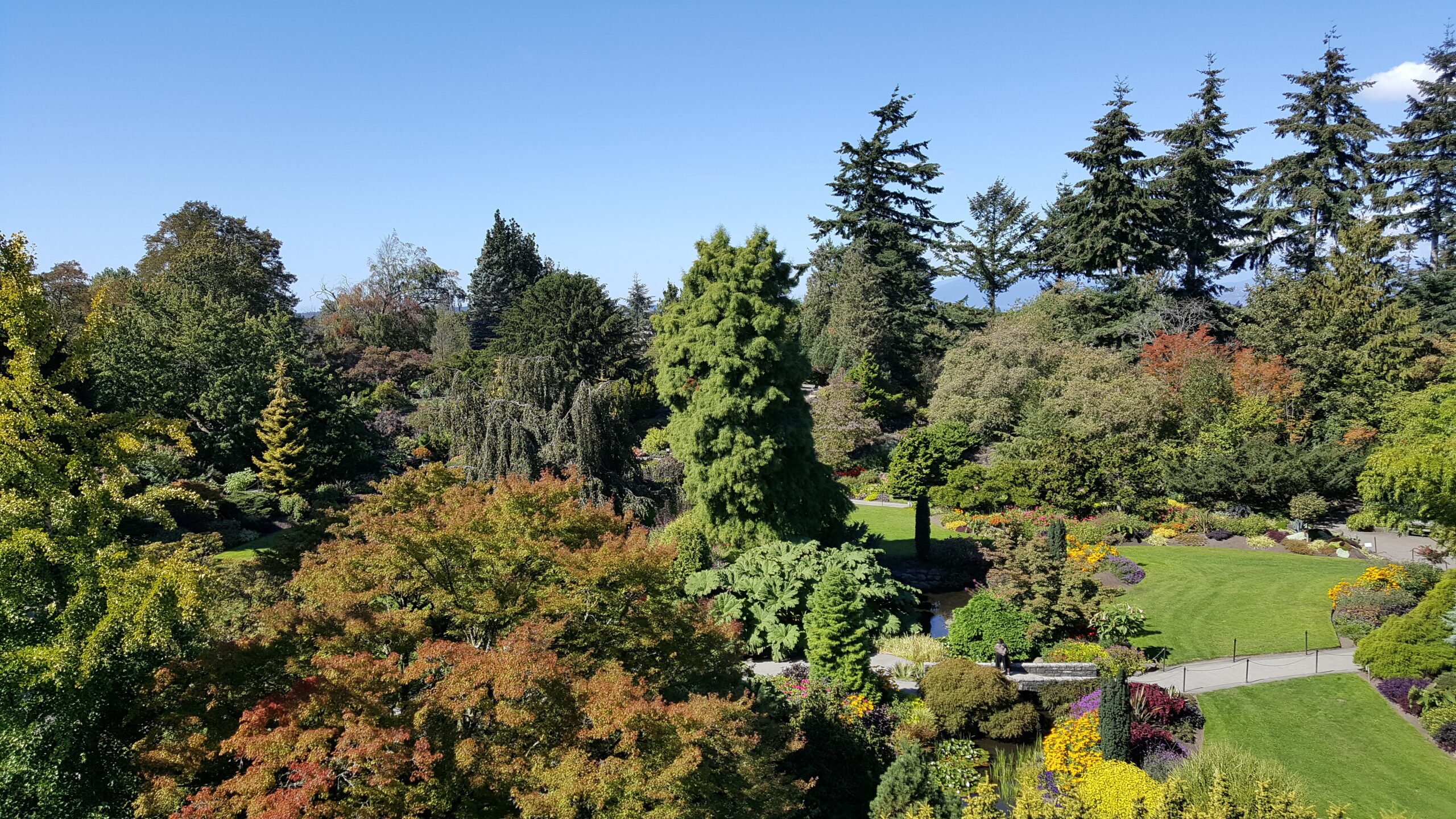A Romantic 3-Day Itinerary for Couples Visiting Vancouver for the First Time