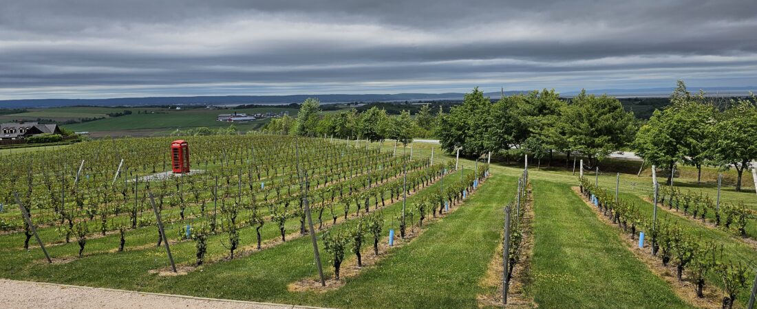 A Romantic Day in Nova Scotia’s Annapolis Valley: Wine, Pizza & A Boutique Stay