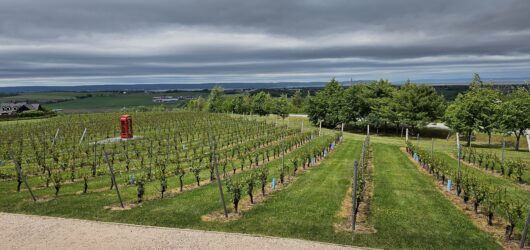 A Romantic Day in Nova Scotia’s Annapolis Valley: Wine, Pizza & A Boutique Stay
