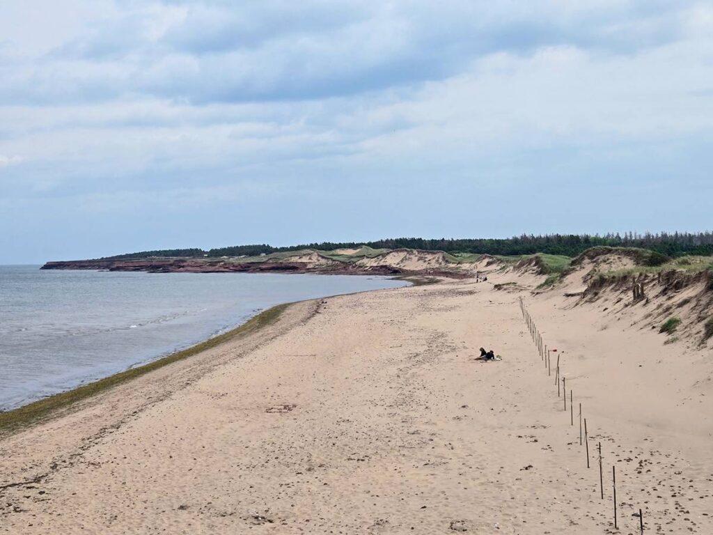 Cavendish Beach sand dunes