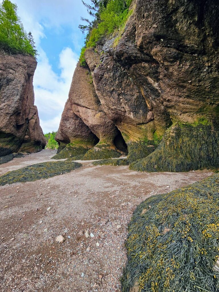 Hopewell Rocks ocean floor with the tide out