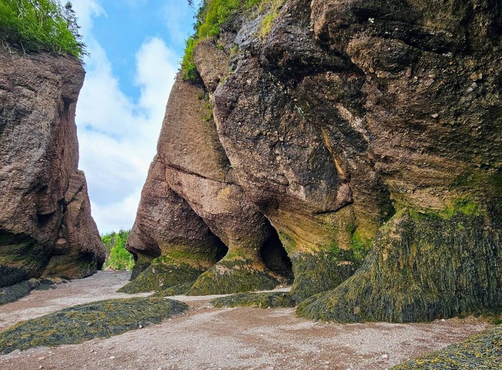 Hopewell Rocks ocean floor with the tide out