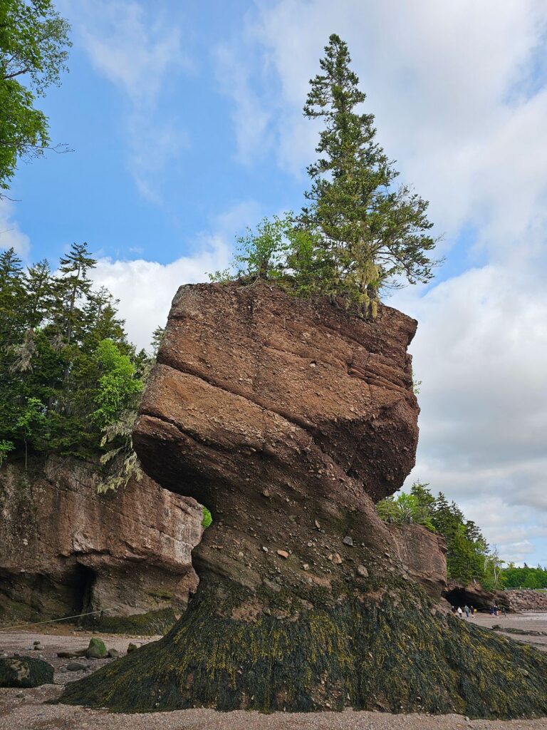 Hopewell Rocks Diamond