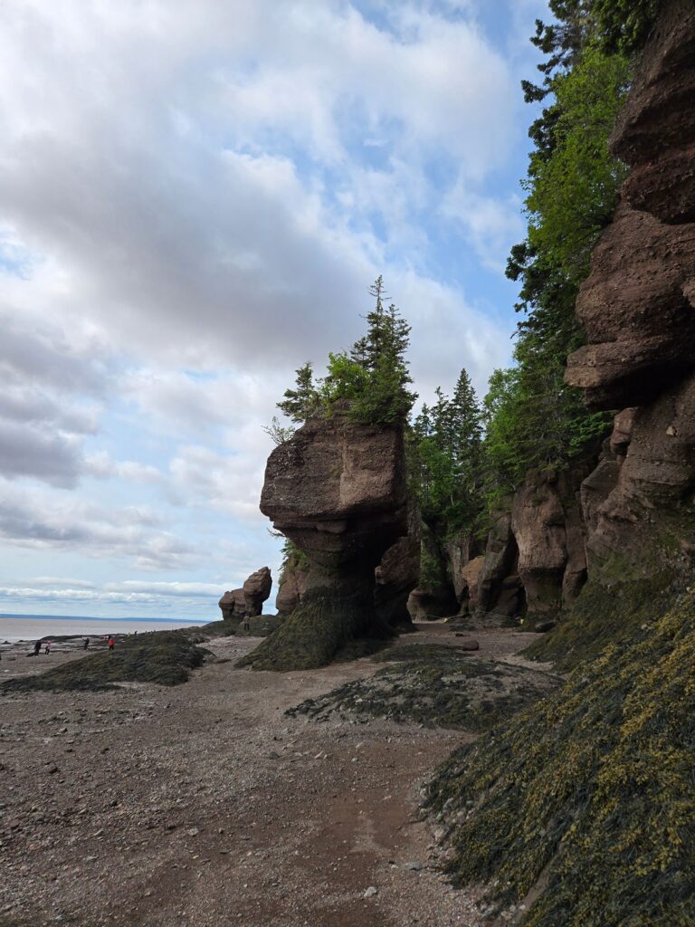 Hopewell Rocks