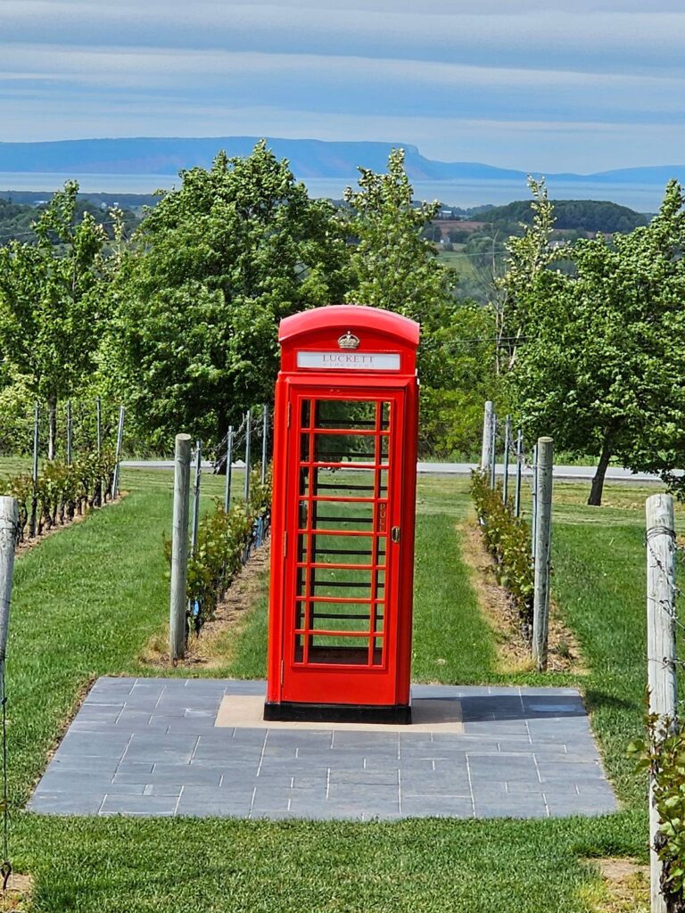 Red phone booth at Luckett Vineyards