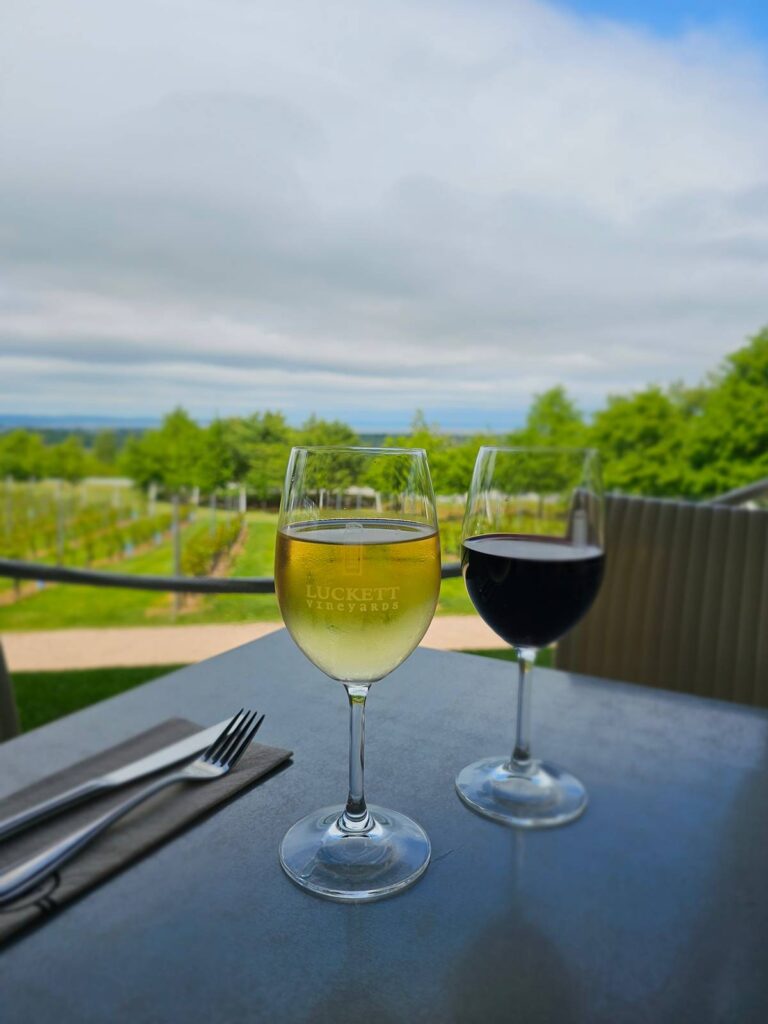 Wine and view from Luckett Vineyards