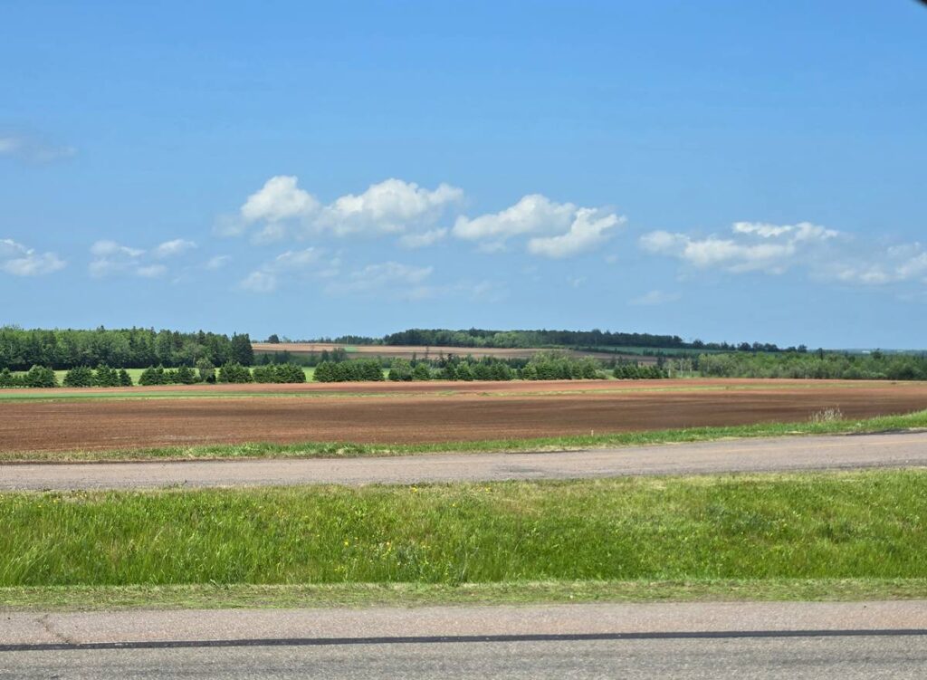 PEI landscape with red dirt