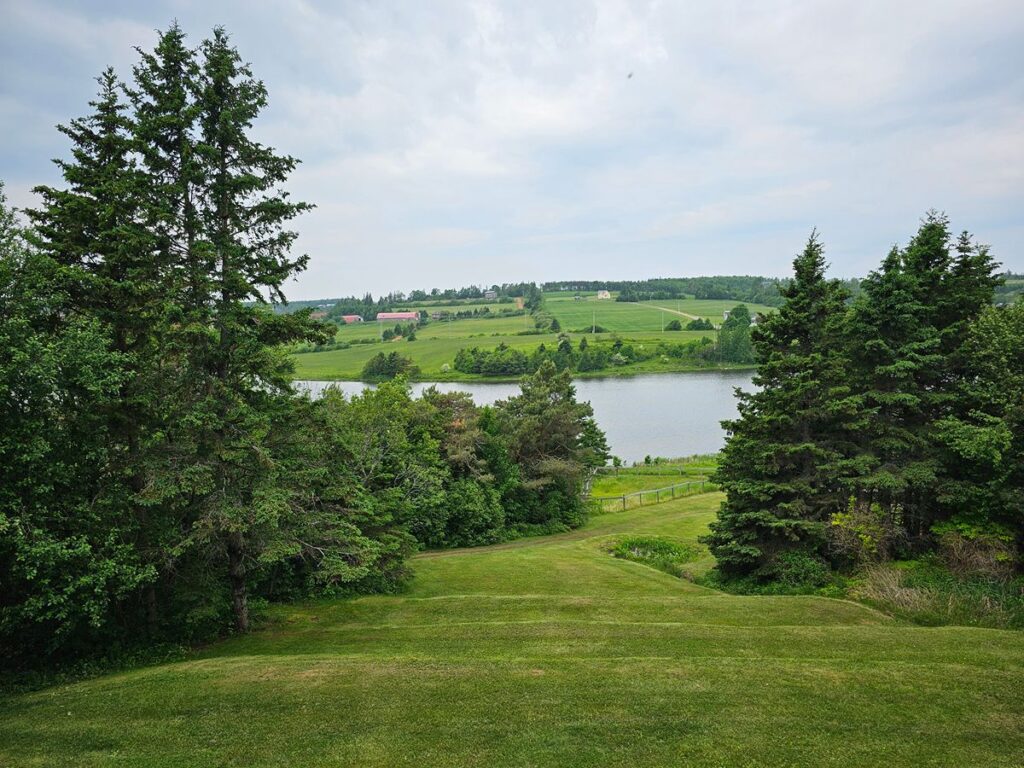 View of green grass in Prince Edward Island
