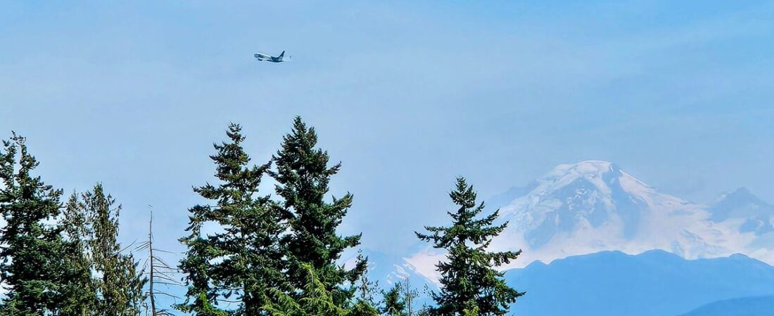 Why You Need Travel Insurance (And The $1,500 Lesson We Learned)