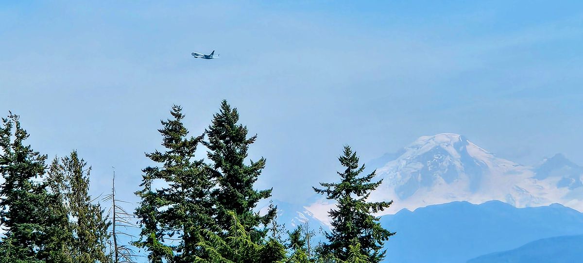 Why You Need Travel Insurance (And The $1,500 Lesson We Learned)