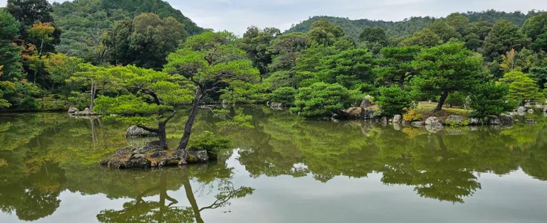 One Week in Kyoto: The Ultimate Home Base Itinerary