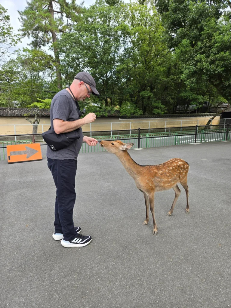 Ron at Nara Park
