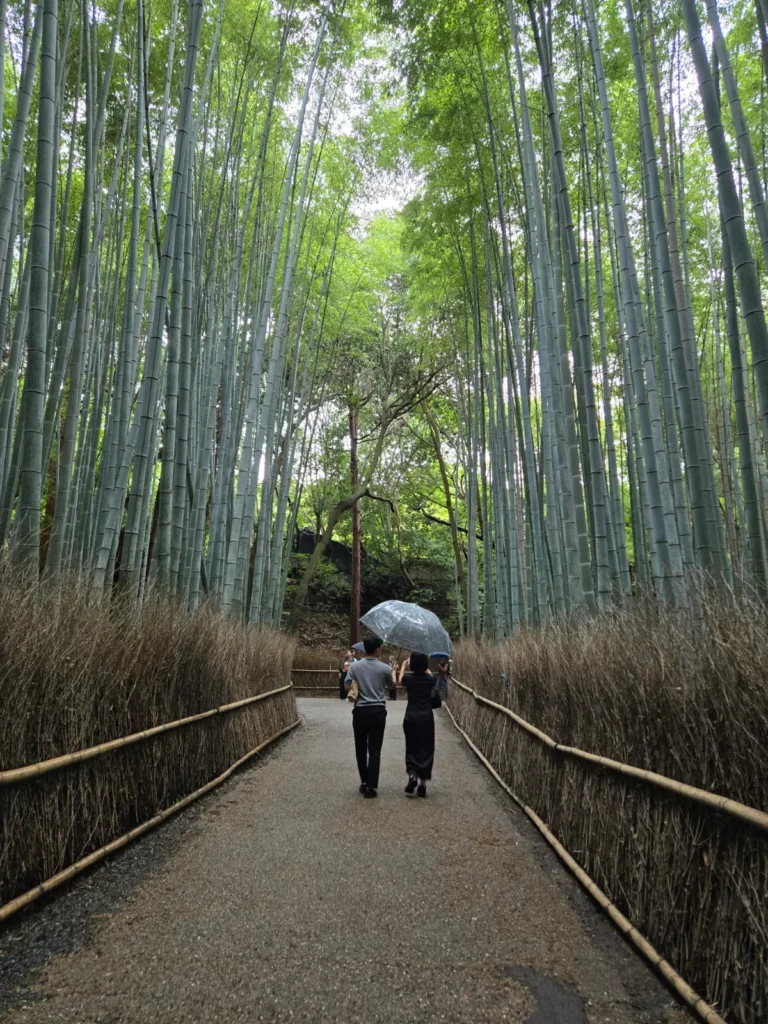 Arashiyama Bamboo Grove