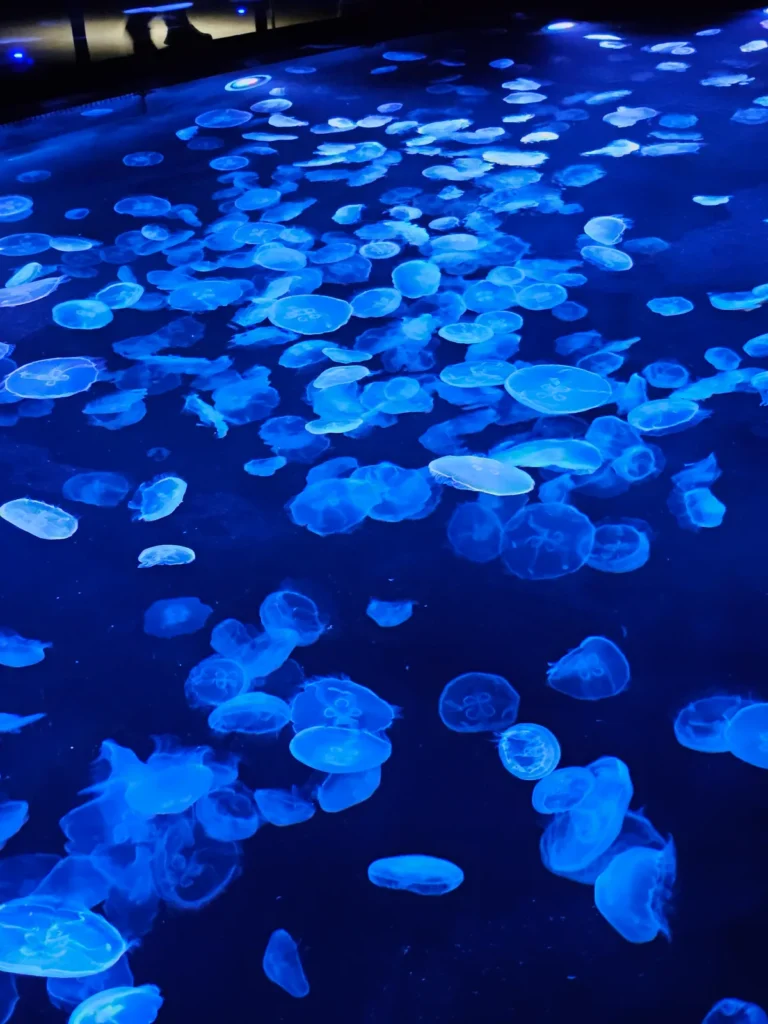 Sumida Aquarium