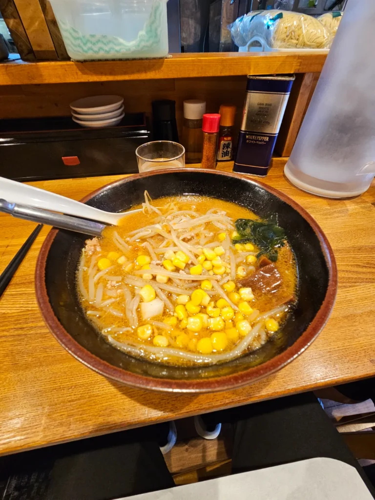 Bowl of Miso Ramen Noodles